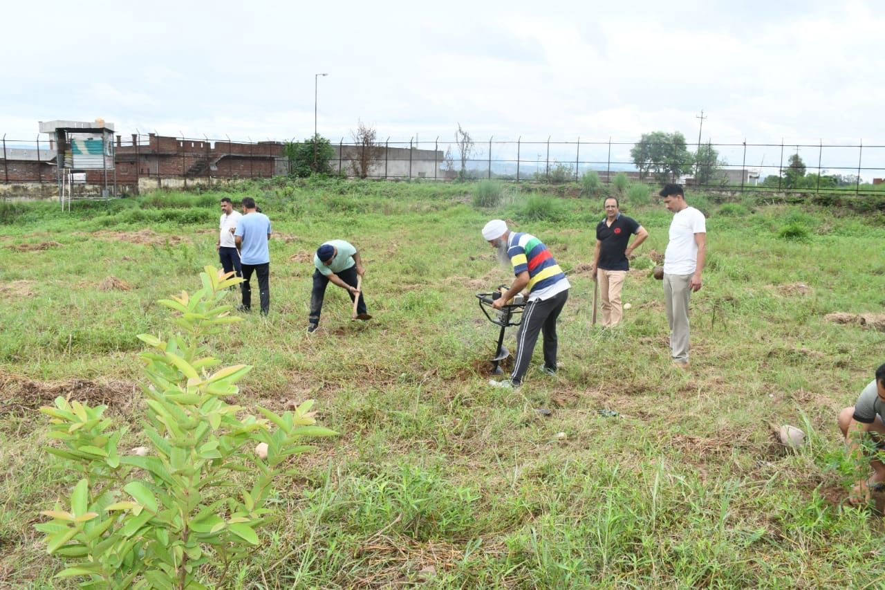BSF miransahib field documentation