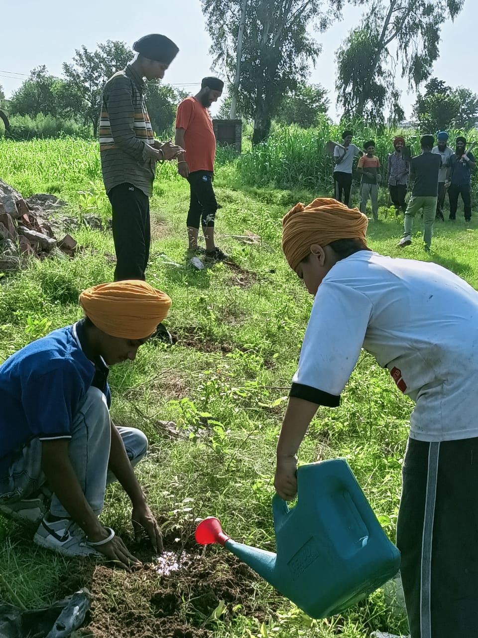 Ashram Near Digiana, Jammu, India planting project