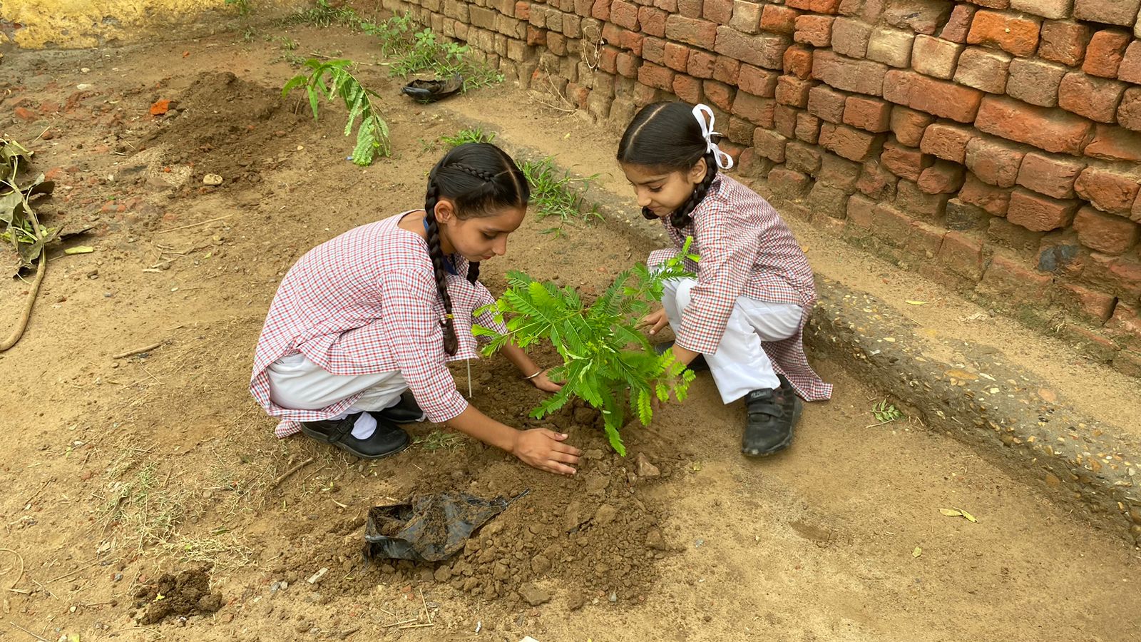 Govt primary school Chak Tara bishnah field documentation