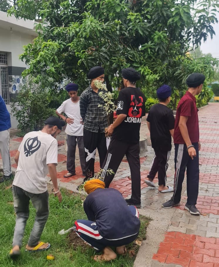 Combined Project field documentation