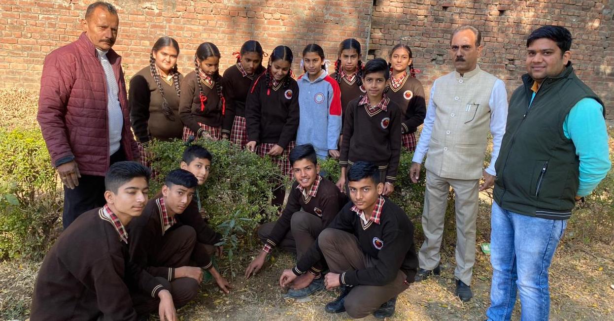 Him Shikha school, Mamoon planting project
