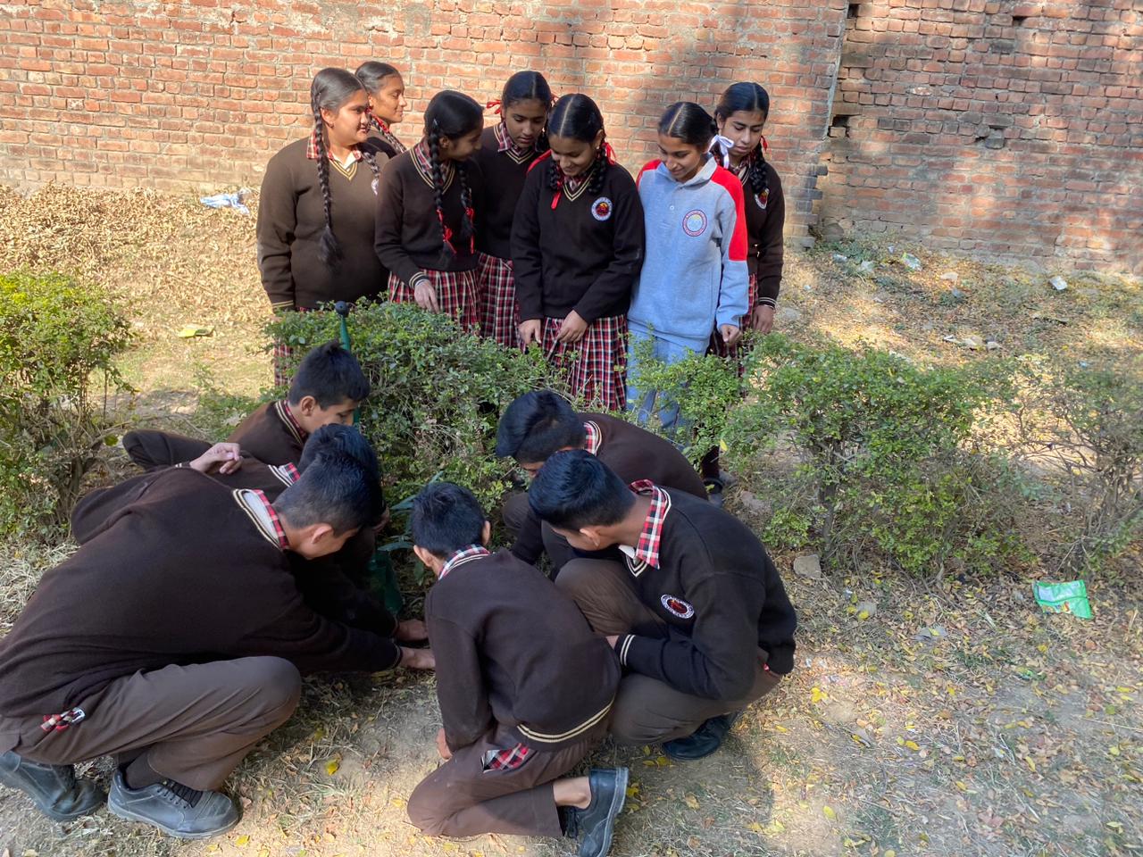 Him Shikha school, Mamoon field documentation