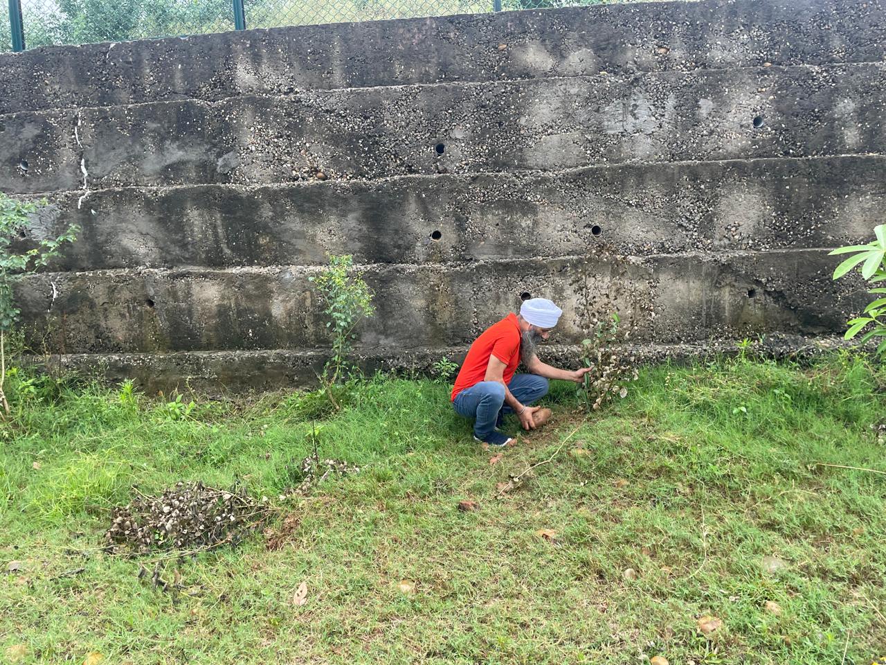 Govt Middle School kotBalwal field documentation