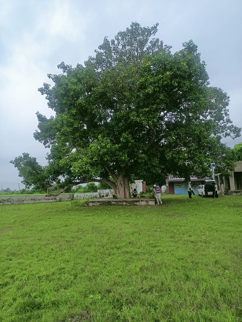 Kathar Arnia Schools Contd, Jammu, India field documentation