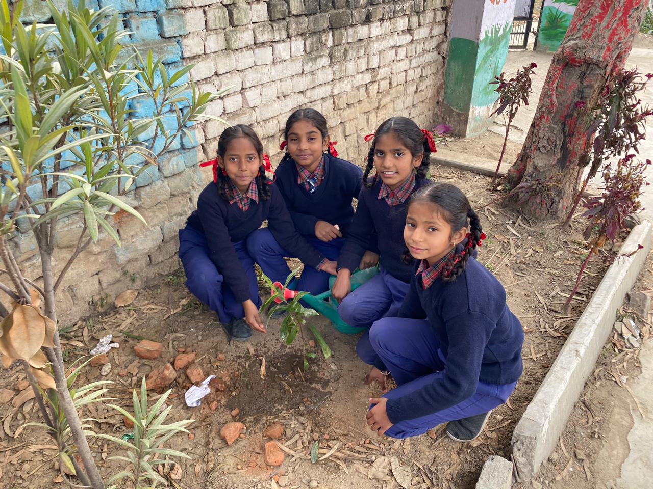 Govt. Primary Smart school field documentation