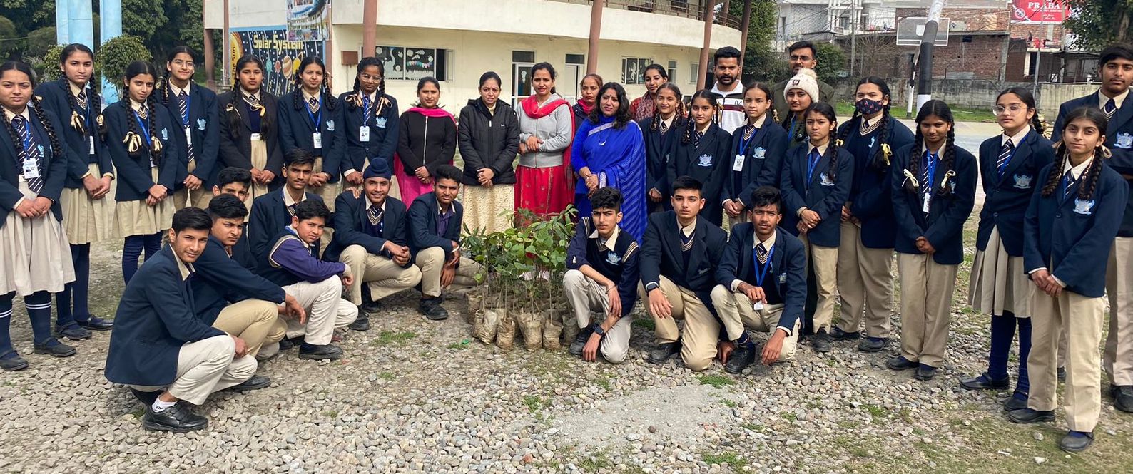 Nurture International School planting project