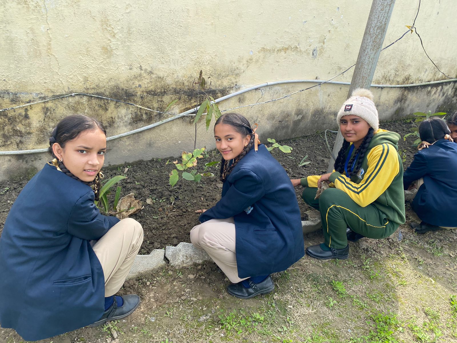 Nurture International School field documentation