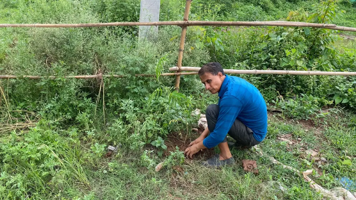 Participant planting at the Ramkot and Phinter Substations project