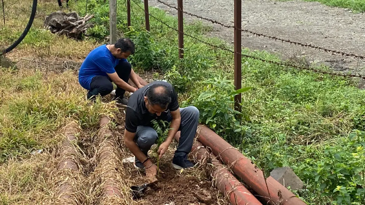 Community planting activity at the substations