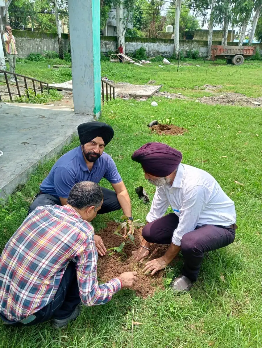 Staff members planting a sapling in the school grounds