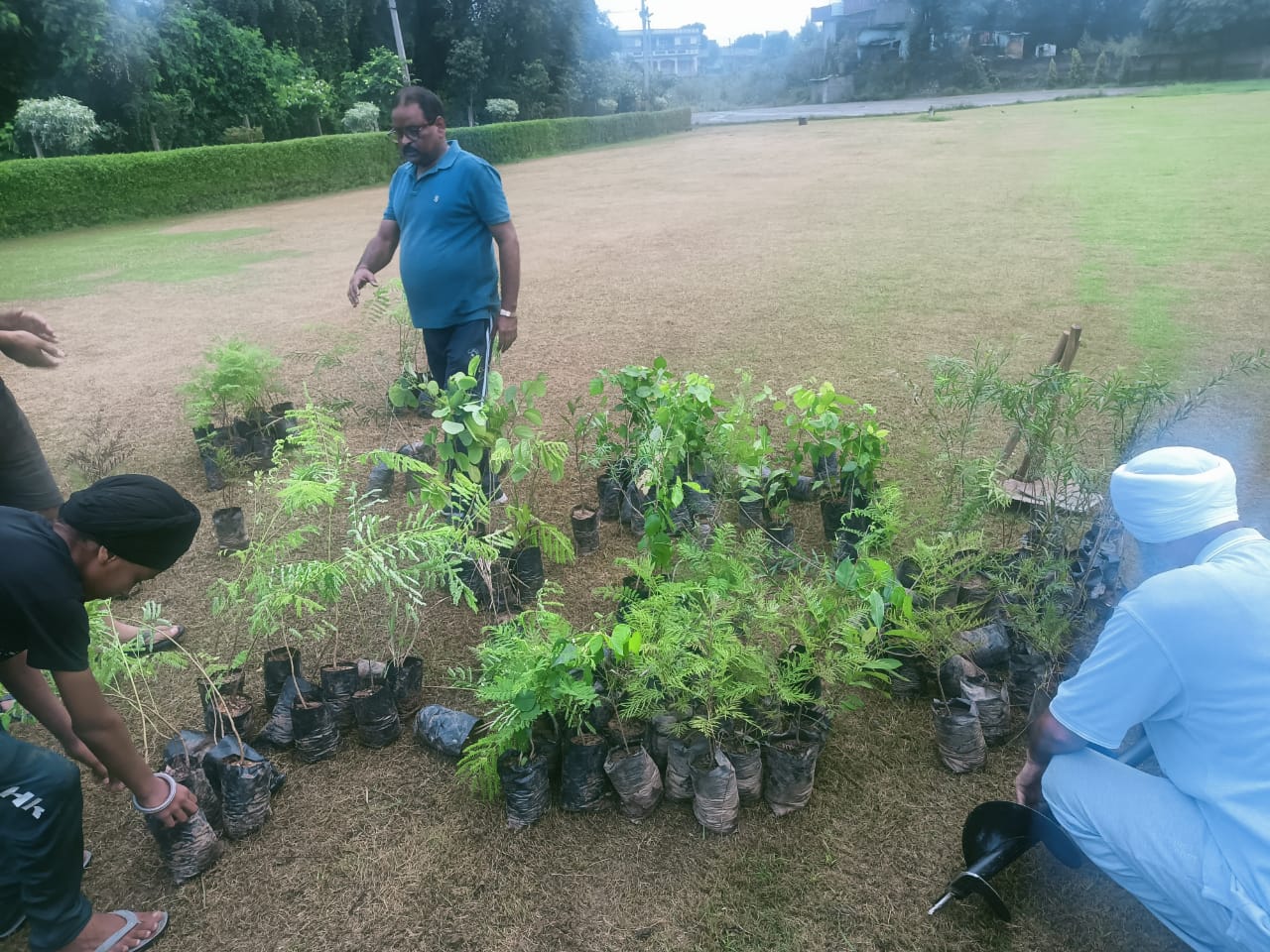 Sant Gubaksh Singh Memorial School Domana, planting project