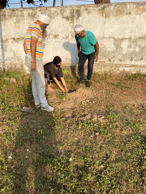 Government Higher Secondary School, Satwari field documentation