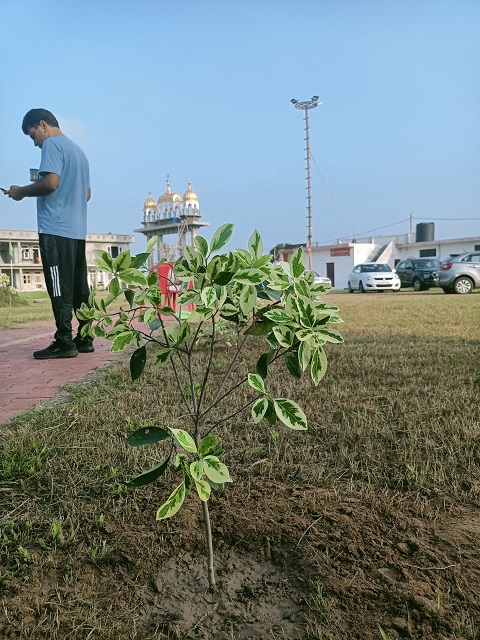 Sukh Sagar Bhawan Ravi Dass Temple, field documentation