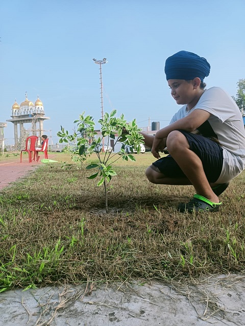 Sukh Sagar Bhawan Ravi Dass Temple, field documentation